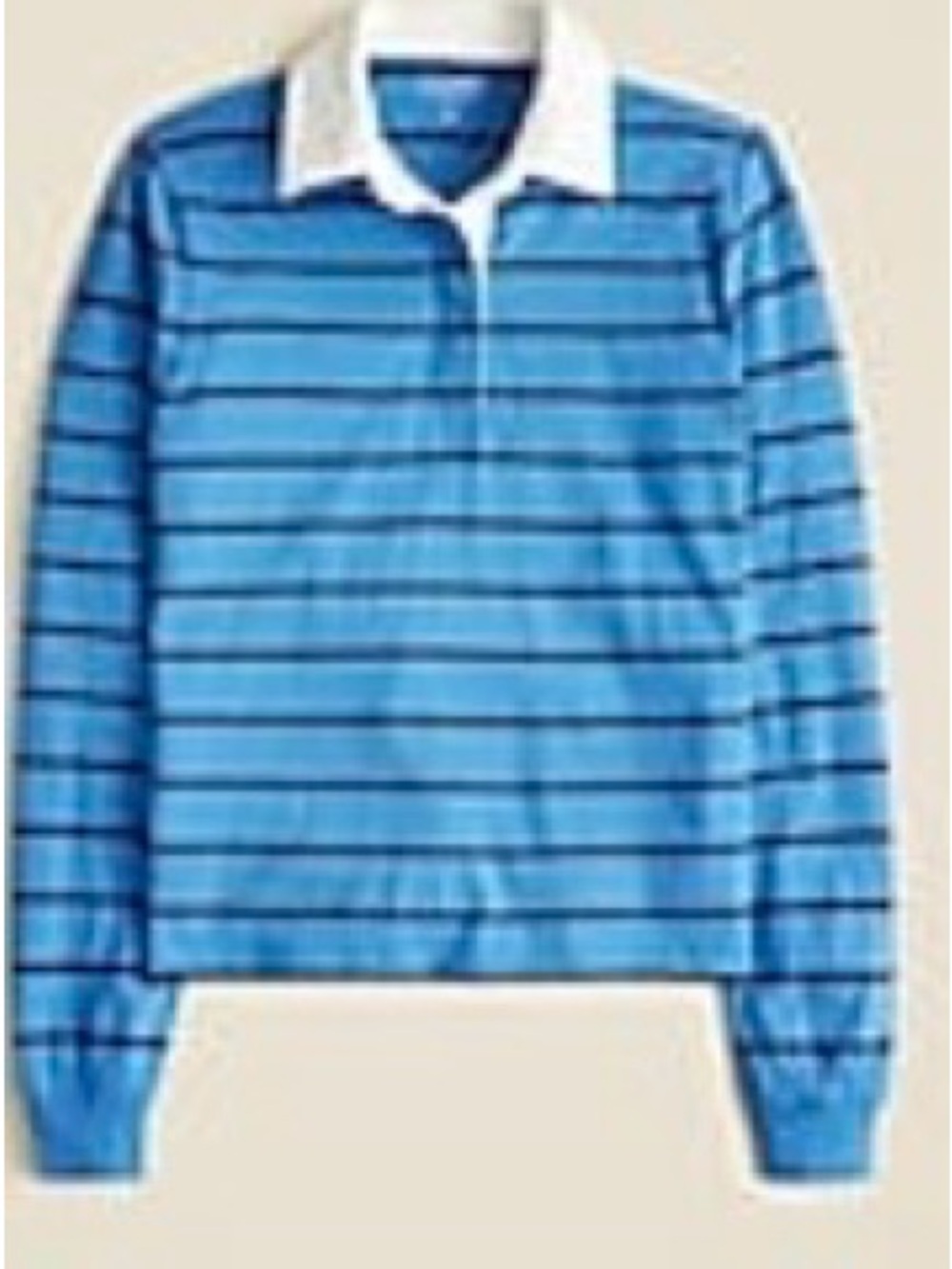 J Crew Long-Sleeve Blue Stripe Polo Top